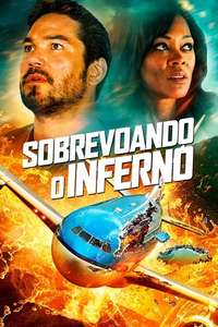 Airplane vs Volcano - Poster