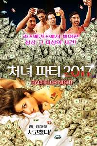 Bachelor Night - Poster