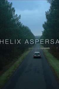 Helix Aspersa - Poster