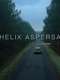 Helix Aspersa