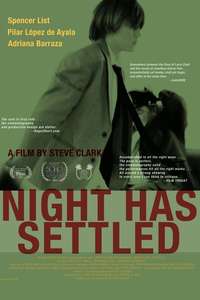 Night Has Settled - Poster
