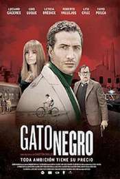 Gato negro