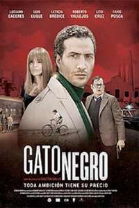 Gato negro - Poster