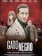 Gato negro