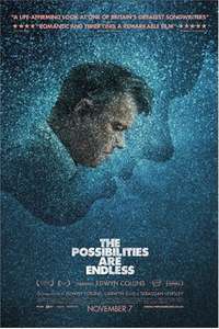 The Possibilities Are Endless - Poster