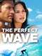 The Perfect Wave