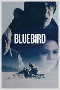 Bluebird - Poster