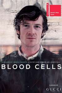 Blood Cells - Poster