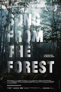Song from the Forest - Poster