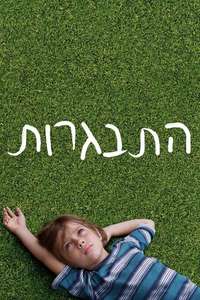 Boyhood - Posters