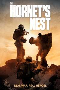 The Hornet's Nest - Poster