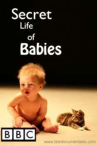 Secret Life of Babies - Poster