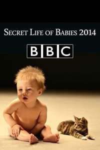 Secret Life of Babies - Poster