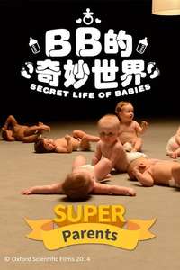 Secret Life of Babies - Poster