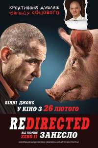 Redirected - Poster