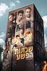 Brick Mansions - Poster