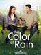 The Color of Rain