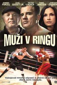 A Fighting Man - Poster