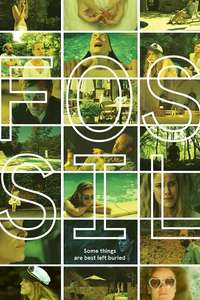 Fossil - Poster