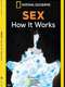 Sex How It Works