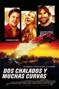 The Dukes of Hazzard - Poster
