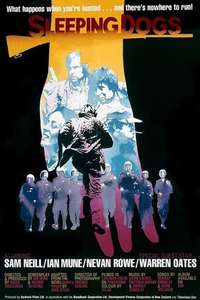 Sleeping Dogs - Posters
