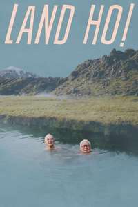Land Ho! - Poster