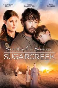 Love Finds You In Sugarcreek - Poster