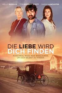Love Finds You In Sugarcreek - Poster