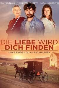 Love Finds You In Sugarcreek - Poster