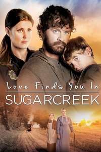 Love Finds You In Sugarcreek - Poster