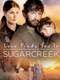 Love Finds You In Sugarcreek