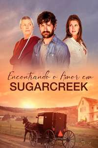 Love Finds You In Sugarcreek - Poster