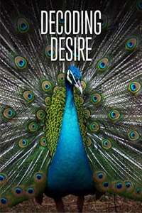 Decoding Desire - Poster