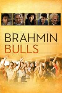 Brahmin Bulls - Poster