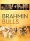 Brahmin Bulls