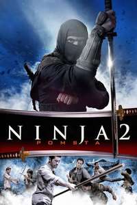Ninja: Shadow of a Tear - Posters