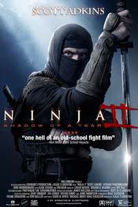 Ninja: Shadow of a Tear - Posters
