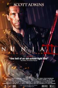 Ninja: Shadow of a Tear - Posters