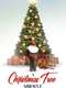A Christmas Tree Miracle
