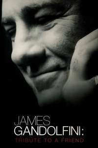 James Gandolfini: Tribute To A Friend - Poster