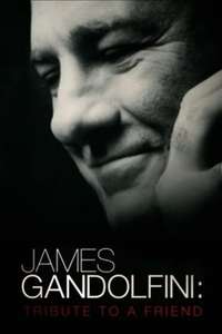 James Gandolfini: Tribute To A Friend - Poster