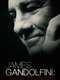 James Gandolfini: Tribute To A Friend