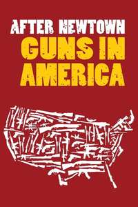 After Newtown: Guns in America - Poster