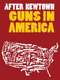 After Newtown: Guns in America
