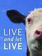 Live and let Live