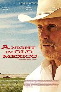 A Night in Old Mexico - Poster