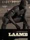 Laamb