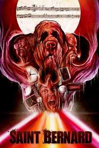 Saint Bernard - Poster