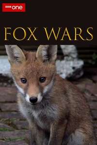 Fox Wars - Poster